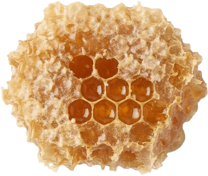 Kärjemesi